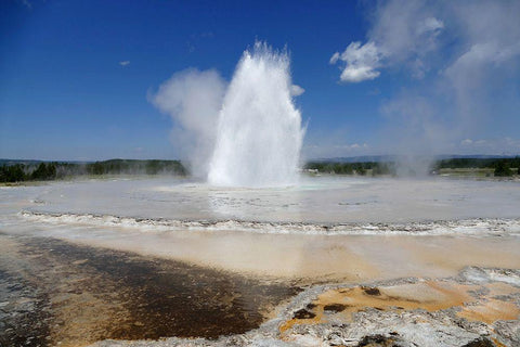 Great Fountain Geyser, Yellowstone National Park White Modern Wood Framed Art Print with Double Matting by Renkin, Diane