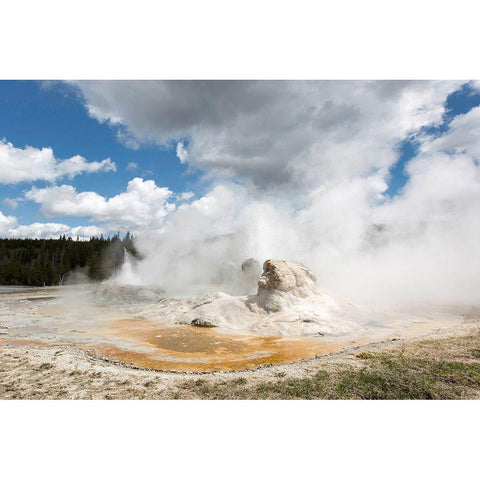 Grotto Geyser, Yellowstone National Park White Modern Wood Framed Art Print by The Yellowstone Collection