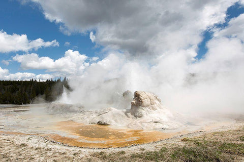 Grotto Geyser, Yellowstone National Park White Modern Wood Framed Art Print with Double Matting by The Yellowstone Collection