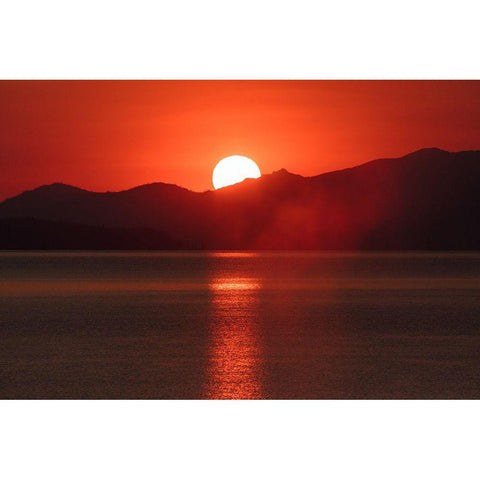 Sunrise from West Thum Geyser Basin, Yellowstone National Park White Modern Wood Framed Art Print by The Yellowstone Collection