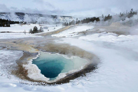 Heart Spring in Upper Geyser Basin, Yellowstone National Park Black Ornate Wood Framed Art Print with Double Matting by The Yellowstone Collection