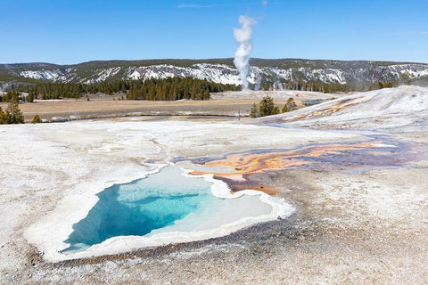 Heart Spring with a Castle Geyser Eruption, Yellowstone National Park White Modern Wood Framed Art Print with Double Matting by Frank, Jacob W.