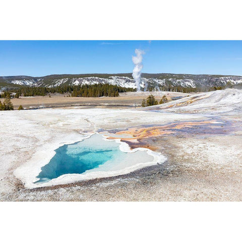 Heart Spring with a Castle Geyser Eruption, Yellowstone National Park White Modern Wood Framed Art Print by Frank, Jacob W.