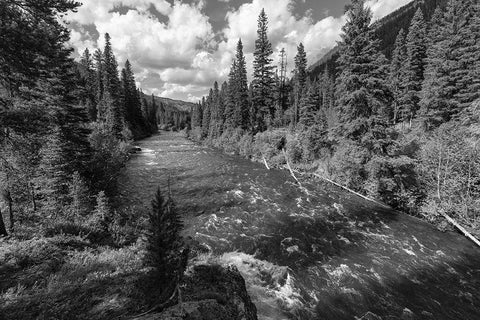 Hellroaring Creek near the Absaroka Beartooth Wilderness, Yellowstone National Park White Modern Wood Framed Art Print with Double Matting by Frank, Jacob W.