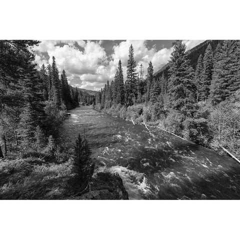 Hellroaring Creek near the Absaroka Beartooth Wilderness, Yellowstone National Park Black Modern Wood Framed Art Print with Double Matting by Frank, Jacob W.