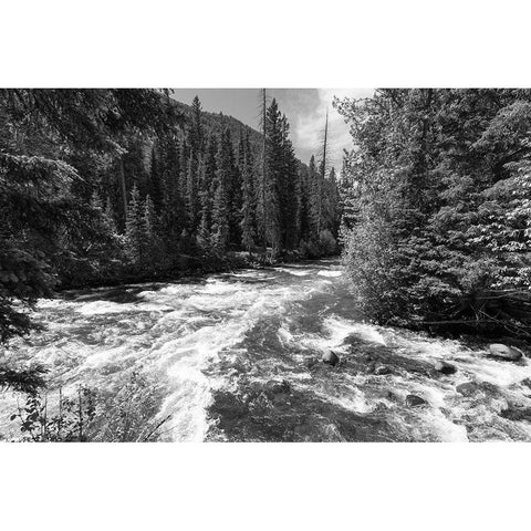 Horse and Hellroaring Creeks, Yellowstone National Park White Modern Wood Framed Art Print by Frank, Jacob W.