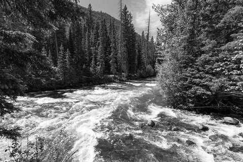 Horse and Hellroaring Creeks, Yellowstone National Park Black Ornate Wood Framed Art Print with Double Matting by Frank, Jacob W.