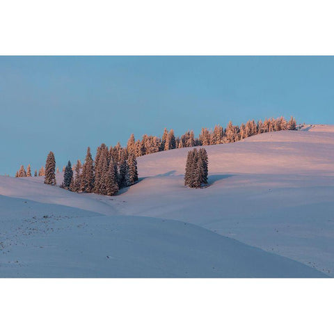 Last Light on Flanks of Bison Peak, Yellowstone National Park Gold Ornate Wood Framed Art Print with Double Matting by The Yellowstone Collection