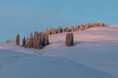 Last Light on Flanks of Bison Peak, Yellowstone National Park White Modern Wood Framed Art Print with Double Matting by The Yellowstone Collection