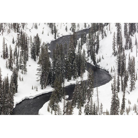 Lewis River, Yellowstone National Park White Modern Wood Framed Art Print by Frank, Jacob W.