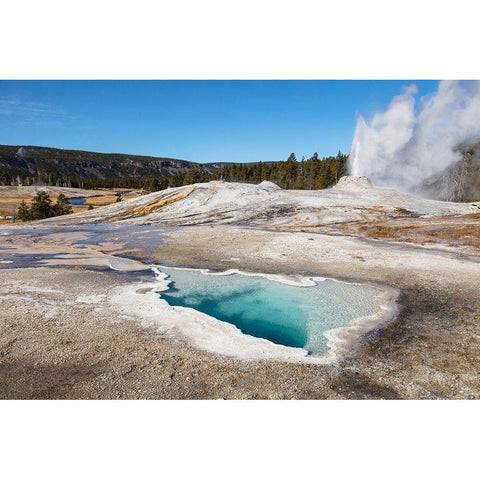 Lion Geyser and Heart Spring, Yellowstone National Park Black Modern Wood Framed Art Print with Double Matting by The Yellowstone Collection