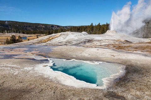 Lion Geyser and Heart Spring, Yellowstone National Park White Modern Wood Framed Art Print with Double Matting by The Yellowstone Collection