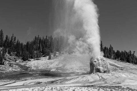 Lone Star Geyser, Yellowstone National Park White Modern Wood Framed Art Print with Double Matting by Frank, Jacob W.