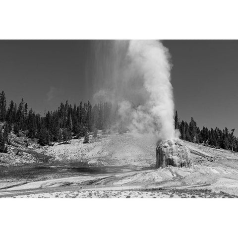 Lone Star Geyser, Yellowstone National Park Gold Ornate Wood Framed Art Print with Double Matting by Frank, Jacob W.