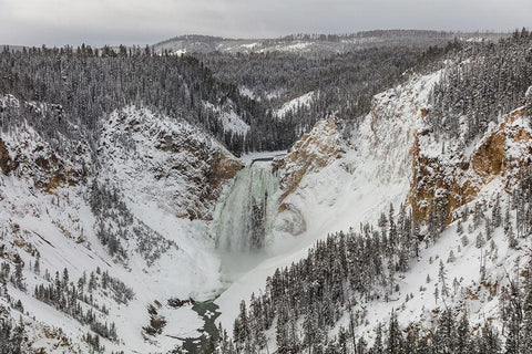 Lower Falls from Lookout Point, Yellowstone National Park White Modern Wood Framed Art Print with Double Matting by Frank, Jacob W.