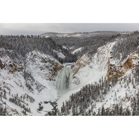 Lower Falls from Lookout Point, Yellowstone National Park White Modern Wood Framed Art Print by Frank, Jacob W.