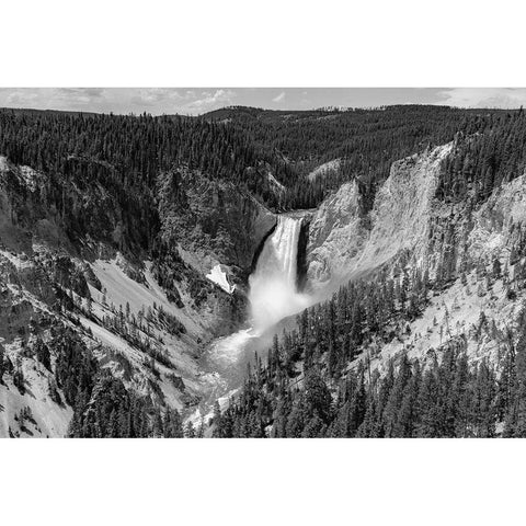 Lower Falls from Lookout Point, Yellowstone National Park Black Modern Wood Framed Art Print with Double Matting by The Yellowstone Collection