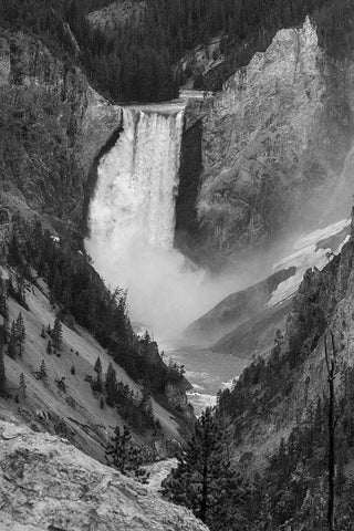 Lower Falls from Artist Point, Yellowstone National Park White Modern Wood Framed Art Print with Double Matting by Frank, Jacob W.