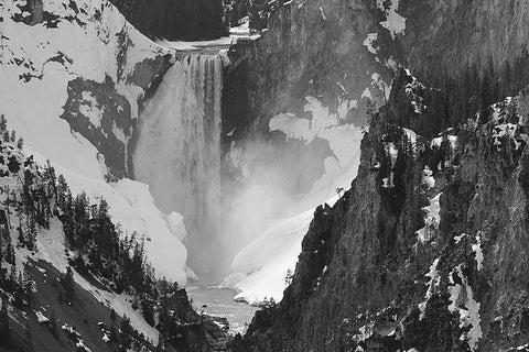 Lower Falls, Yellowstone National Park White Modern Wood Framed Art Print with Double Matting by Peaco, Jim