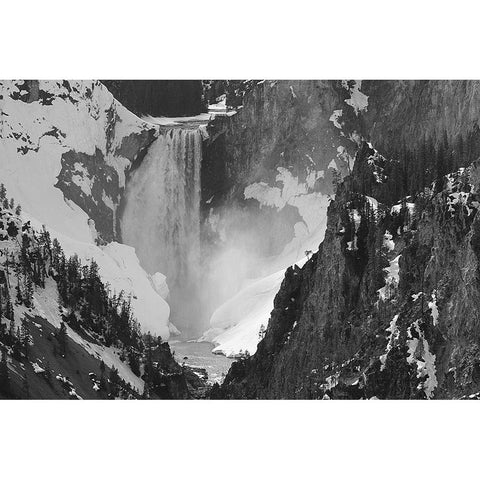 Lower Falls, Yellowstone National Park White Modern Wood Framed Art Print by Peaco, Jim