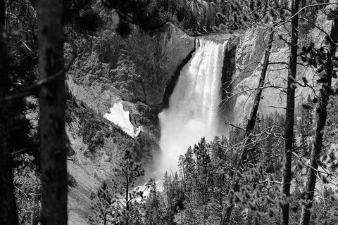 Lower Falls from Lookout Point, Yellowstone National Park Black Ornate Wood Framed Art Print with Double Matting by Frank, Jacob W.