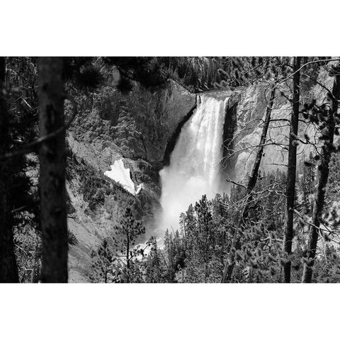 Lower Falls from Lookout Point, Yellowstone National Park Gold Ornate Wood Framed Art Print with Double Matting by Frank, Jacob W.