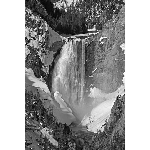 Lower Falls from Artist Point, Yellowstone National Park White Modern Wood Framed Art Print by Renkin, Diane