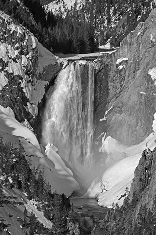 Lower Falls from Artist Point, Yellowstone National Park White Modern Wood Framed Art Print with Double Matting by Renkin, Diane