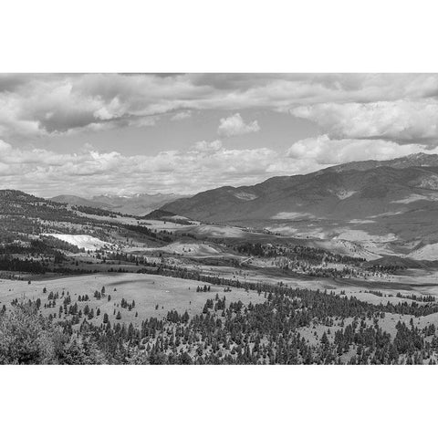 Mammoth Hot Springs, Yellowstone National Park White Modern Wood Framed Art Print by The Yellowstone Collection