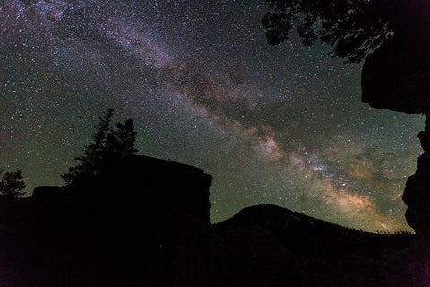 Milky Way near Mammoth Hot Springs, Yellowstone National Park Black Ornate Wood Framed Art Print with Double Matting by The Yellowstone Collection