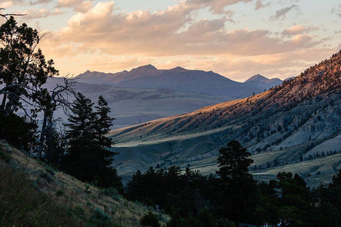 Monitor Peak Sunset from Mammoth Hot Springs, Yellowstone National Park White Modern Wood Framed Art Print with Double Matting by The Yellowstone Collection