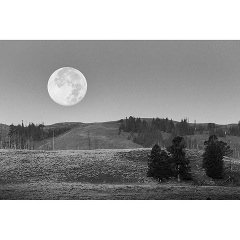 Moonset, Lamar Valley, Yellowstone National Park Black Modern Wood Framed Art Print with Double Matting by Herbert, Neal