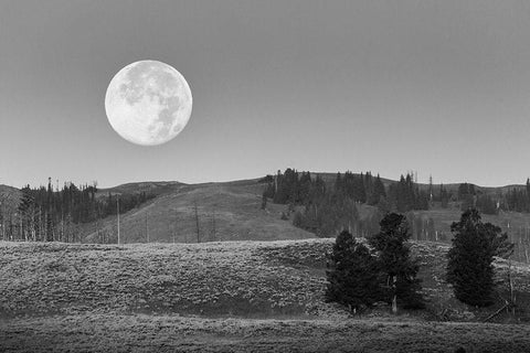 Moonset, Lamar Valley, Yellowstone National Park Black Ornate Wood Framed Art Print with Double Matting by Herbert, Neal