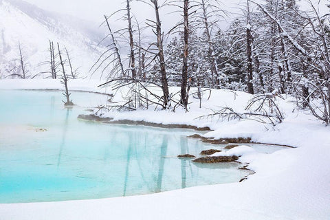 Newly formed Pool at Canary Spring, Yellowstone National Park White Modern Wood Framed Art Print with Double Matting by The Yellowstone Collection