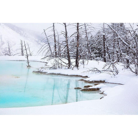 Newly formed Pool at Canary Spring, Yellowstone National Park White Modern Wood Framed Art Print by The Yellowstone Collection