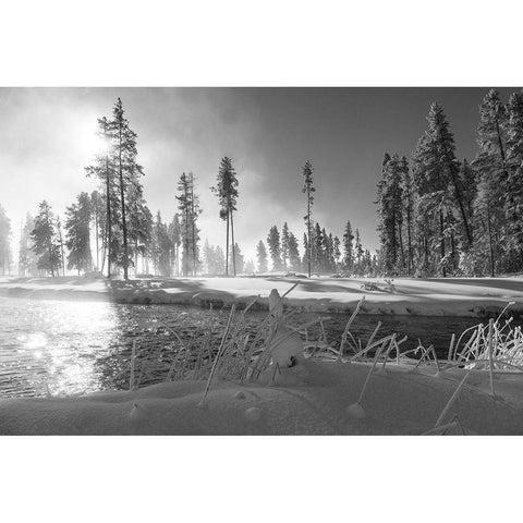 Nez Perce Creek, Yellowstone National Park Black Modern Wood Framed Art Print with Double Matting by Frank, Jacob W.