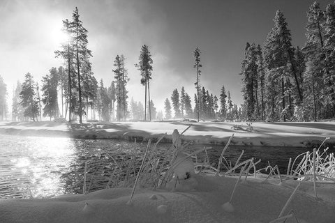 Nez Perce Creek, Yellowstone National Park White Modern Wood Framed Art Print with Double Matting by Frank, Jacob W.