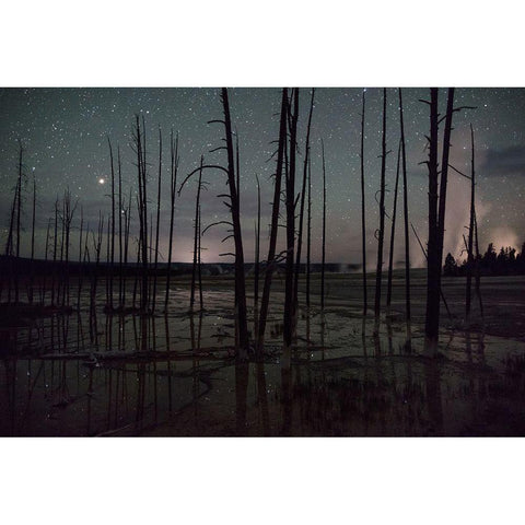 Night sky at Fountain Paint Pots, Yellowstone National Park White Modern Wood Framed Art Print by The Yellowstone Collection