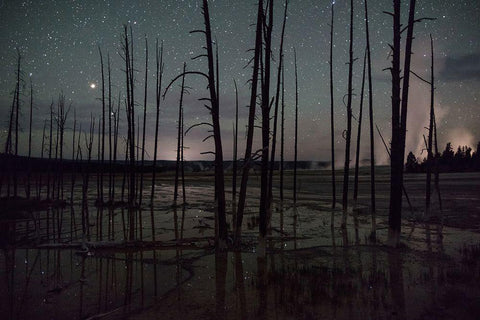 Night sky at Fountain Paint Pots, Yellowstone National Park Black Ornate Wood Framed Art Print with Double Matting by The Yellowstone Collection