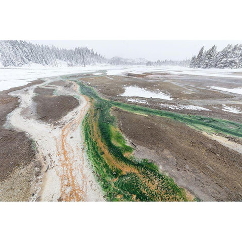 Norris Geyser Basin Thermophile Streams, Yellowstone National Park White Modern Wood Framed Art Print by Frank, Jacob W.