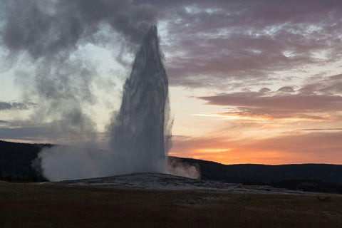 Old Faithful Eruption at Sunset, Yellowstone National Park White Modern Wood Framed Art Print with Double Matting by The Yellowstone Collection