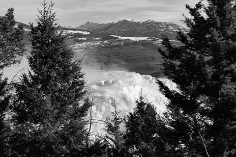 Canary Spring, Yellowstone National Park Black Ornate Wood Framed Art Print with Double Matting by Frank, Jacob W.