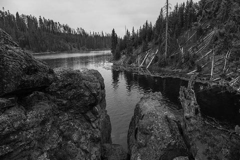 Lewis River Channel, Yellowstone National Park White Modern Wood Framed Art Print with Double Matting by The Yellowstone Collection