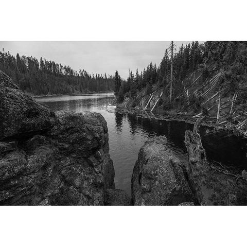 Lewis River Channel, Yellowstone National Park Black Modern Wood Framed Art Print with Double Matting by The Yellowstone Collection