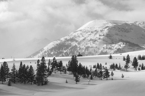 Quadrant Mountain in the distance, Bannock Peak, Yellowstone National Park White Modern Wood Framed Art Print with Double Matting by The Yellowstone Collection