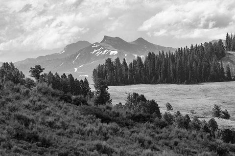 Saddle Mountain and Pollux Peak from Druid Peak hillside, Yellowstone National Park Black Ornate Wood Framed Art Print with Double Matting by Frank, Jacob W.