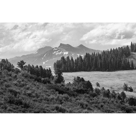 Saddle Mountain and Pollux Peak from Druid Peak hillside, Yellowstone National Park Gold Ornate Wood Framed Art Print with Double Matting by Frank, Jacob W.