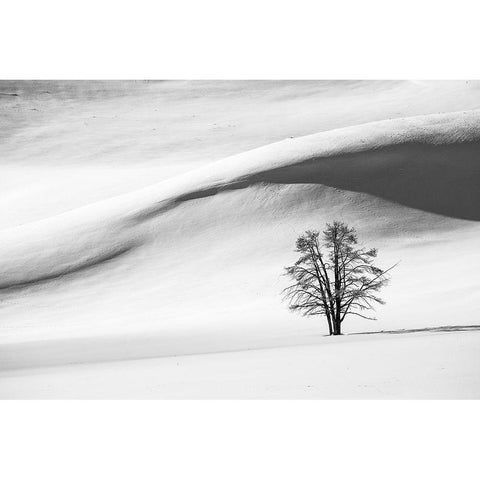 Snow Dunes, Hayden Valley, Yellowstone National Park Black Modern Wood Framed Art Print with Double Matting by The Yellowstone Collection