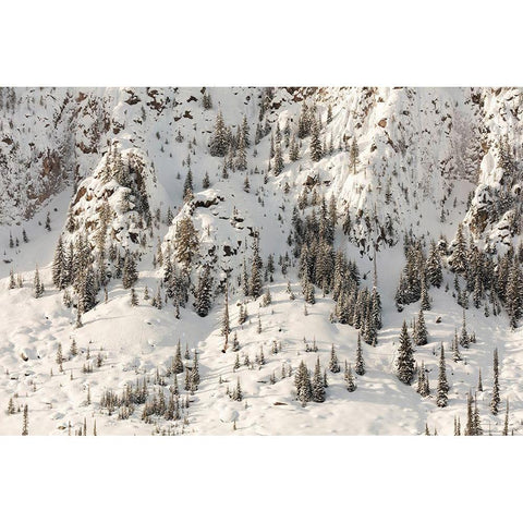 Snowy Cliffs of Mt. Haynes, Yellowstone National Park White Modern Wood Framed Art Print by The Yellowstone Collection