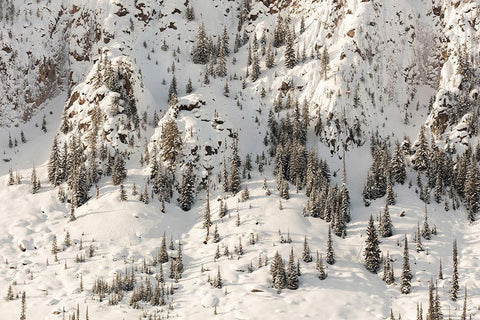 Snowy Cliffs of Mt. Haynes, Yellowstone National Park White Modern Wood Framed Art Print with Double Matting by The Yellowstone Collection